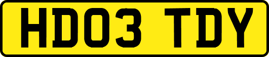 HD03TDY