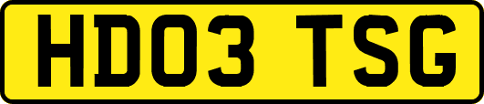 HD03TSG