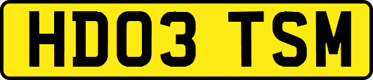 HD03TSM