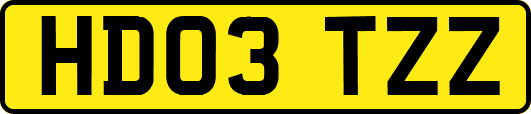 HD03TZZ