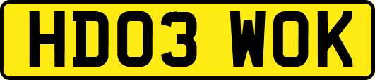 HD03WOK