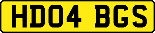 HD04BGS