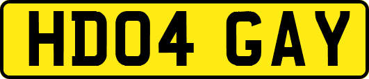 HD04GAY