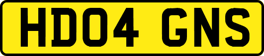 HD04GNS
