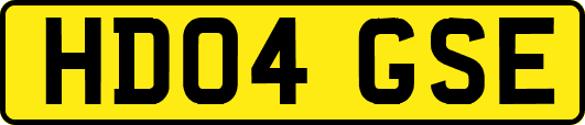 HD04GSE