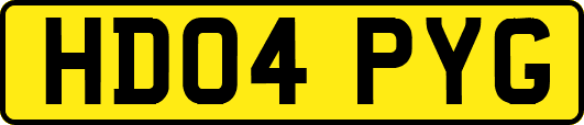 HD04PYG