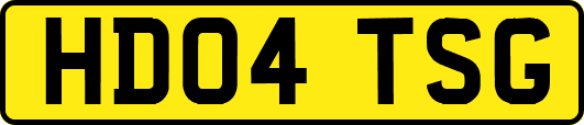 HD04TSG