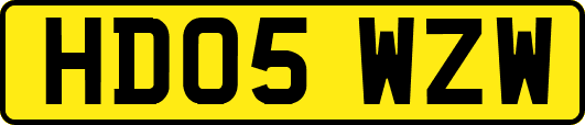 HD05WZW