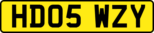 HD05WZY