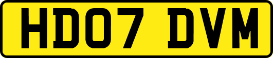 HD07DVM