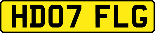 HD07FLG
