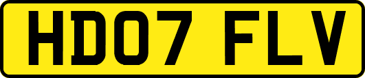 HD07FLV