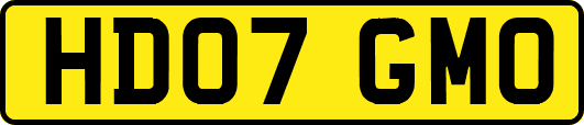 HD07GMO