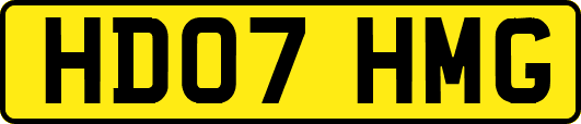 HD07HMG