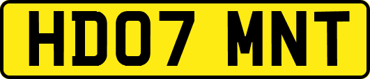 HD07MNT
