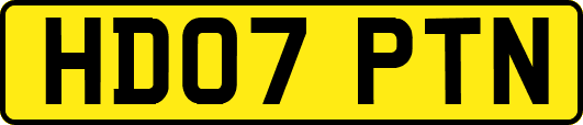 HD07PTN