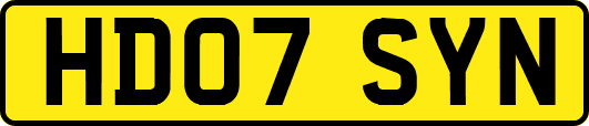 HD07SYN