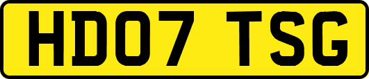 HD07TSG