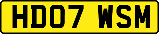 HD07WSM