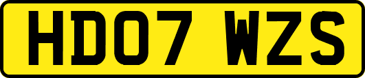 HD07WZS