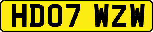 HD07WZW