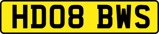 HD08BWS