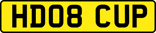 HD08CUP