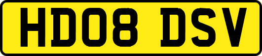 HD08DSV