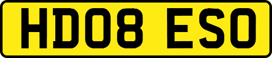HD08ESO