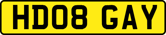 HD08GAY