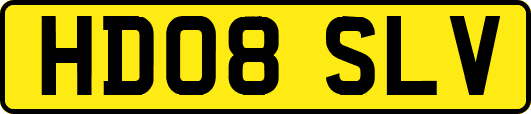 HD08SLV