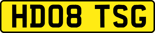 HD08TSG