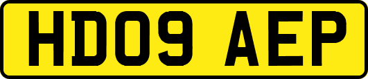 HD09AEP