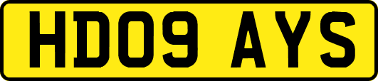 HD09AYS