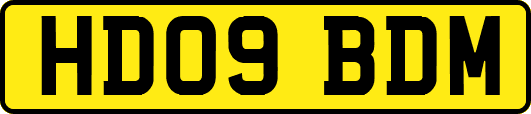 HD09BDM