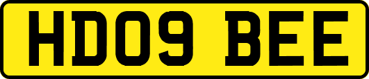 HD09BEE