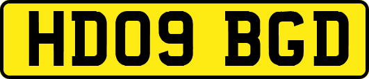 HD09BGD