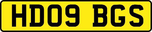 HD09BGS