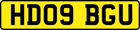 HD09BGU