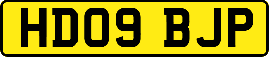 HD09BJP