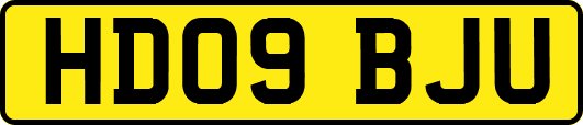 HD09BJU