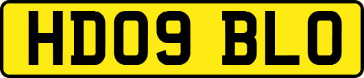 HD09BLO