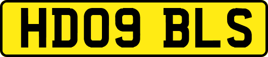 HD09BLS