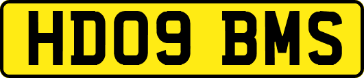 HD09BMS