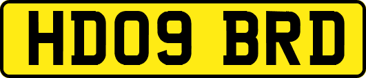 HD09BRD