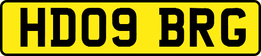 HD09BRG