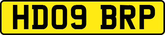 HD09BRP