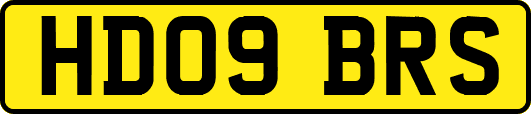 HD09BRS