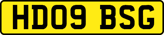 HD09BSG