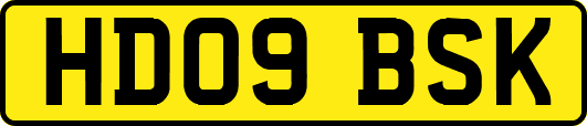 HD09BSK